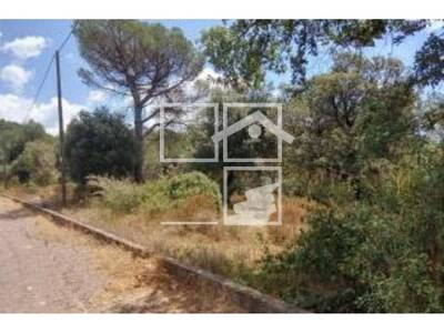 Local en Dels pins, Aiguafreda Barcelona