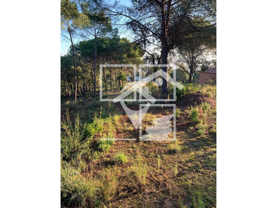 Local en Calle Tarragona    , Fogars de la Selva Barcelona