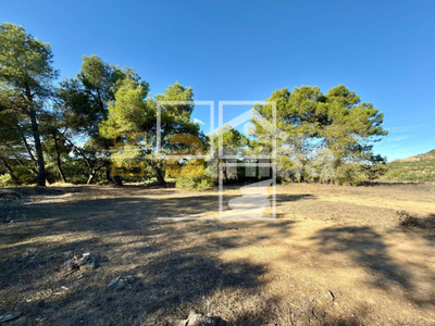 Local en Vinaixa Lleida Local en Vinaixa Lleida