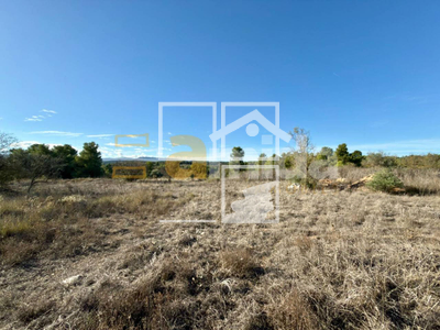 Local en Vinaixa Lleida Local en Vinaixa Lleida