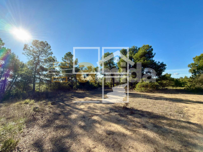 Local en Vinaixa Lleida Local en Vinaixa Lleida