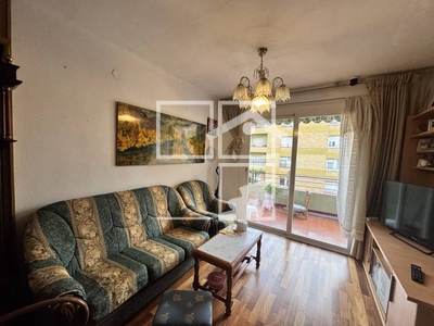 Local en Olot Girona