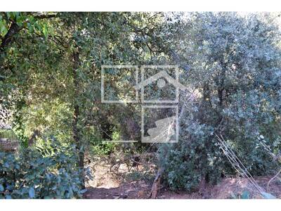 Local en Carena Llarga, Vacarisses Barcelona