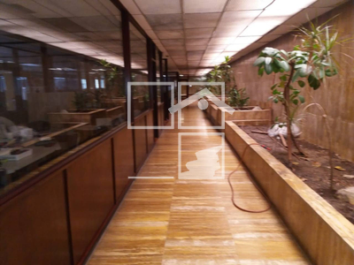 Local en Calle BERNAT METGE    , Sabadell Barcelona